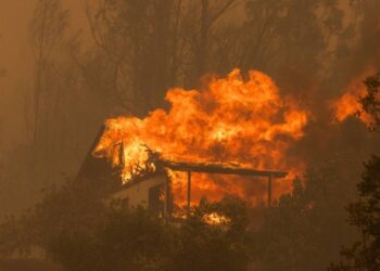 Al menos 800 hectáreas calcinadas y 7 heridos en varios incendios en zona central de Chile