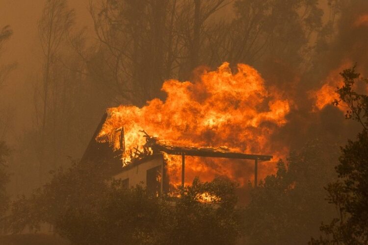 Al menos 800 hectáreas calcinadas y 7 heridos en varios incendios en zona central de Chile