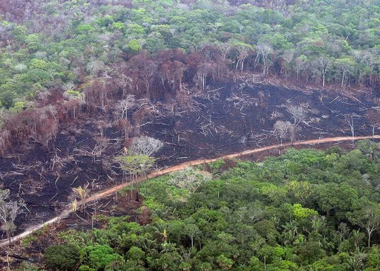 Ecuador perdió 1,16 millones de hectáreas de cobertura natural en los últimos 38 años