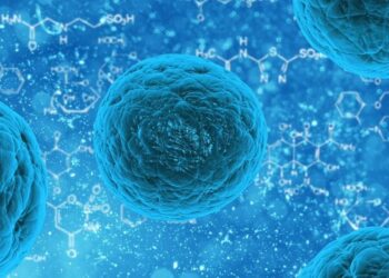 Nuevo antibiótico es prometedor contra una bacteria multirresistente