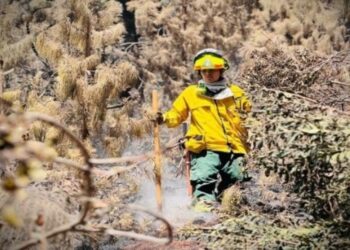Gobierno de Colombia declaró estado emergencia por incendios forestales