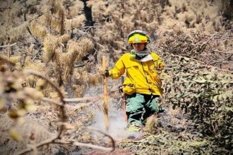 Gobierno de Colombia declaró estado emergencia por incendios forestales