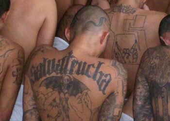 Estructura de la MS13 recibe condenas de hasta 699 años de prisión