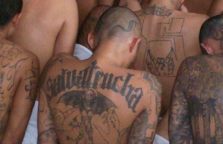 Estructura de la MS13 recibe condenas de hasta 699 años de prisión