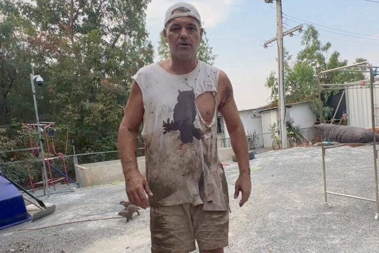 Youtuber Frank Cuesta fue brutalmente atacado por un ciervo en su santuario