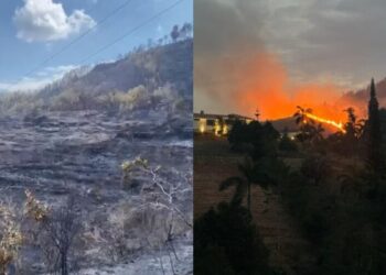 Incendios forestales arrasan más de 300 hectáreas en departamento colombiano de Santander