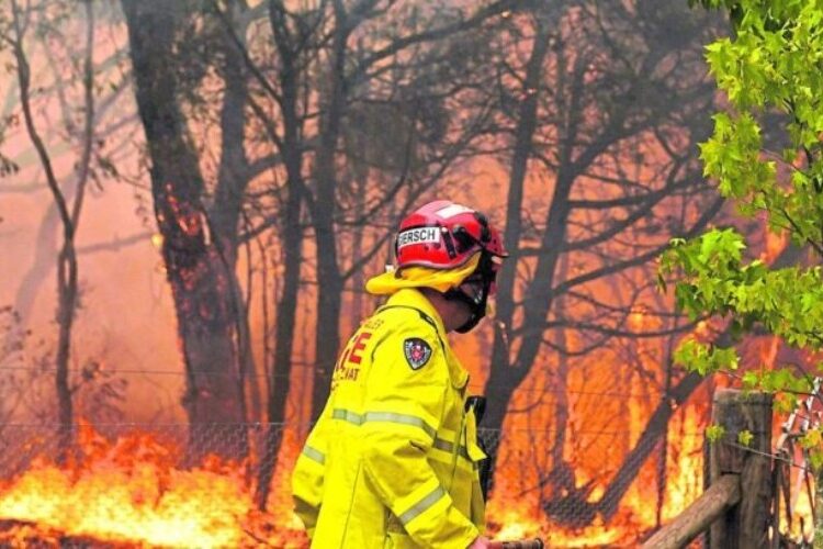 Desalojan poblaciones del sureste de Australia por incendios forestales