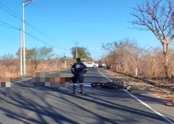 Agente policial fallece tras chocar con un caballo en Metapán