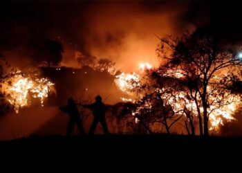 Al menos 500 hectáreas de bosque afectadas por un incendio en parque nacional de Honduras