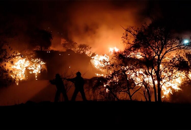 Al menos 500 hectáreas de bosque afectadas por un incendio en parque nacional de Honduras