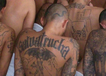 Anuncian acusaciones contra 230 clicas de la Mara Salvatrucha