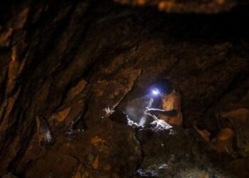 Un fallecido y más de treinta personas atrapadas por el derrumbe de una mina en Nigeria