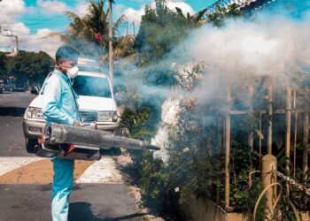 Continúan las jornadas antivectoriales para proteger a la población del dengue