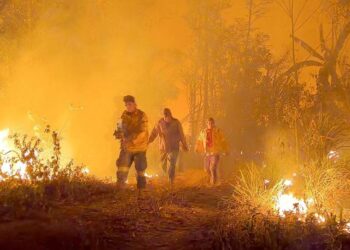 Bolivia declara desastre nacional por incendios forestales