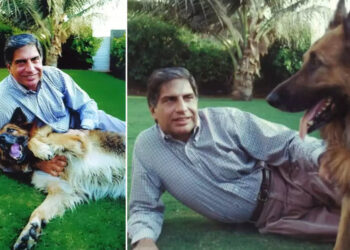 Empresario indio deja parte de su millonaria herencia al cuidado «ilimitado» de su mascota