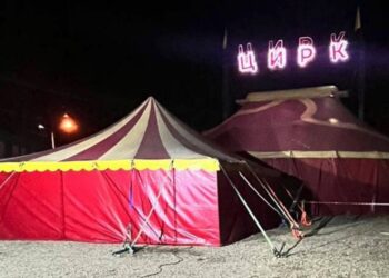 Pantera ataca a un niño pequeño en un circo de Rusia