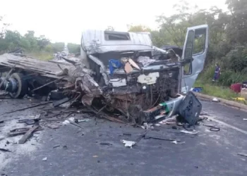 Mueren 9 miembros de un equipo de remo al caer un remolque sobre su camioneta en Brasil
