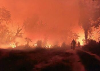 Incendios forestales devastaron 9,8 millones de hectáreas en Bolivia