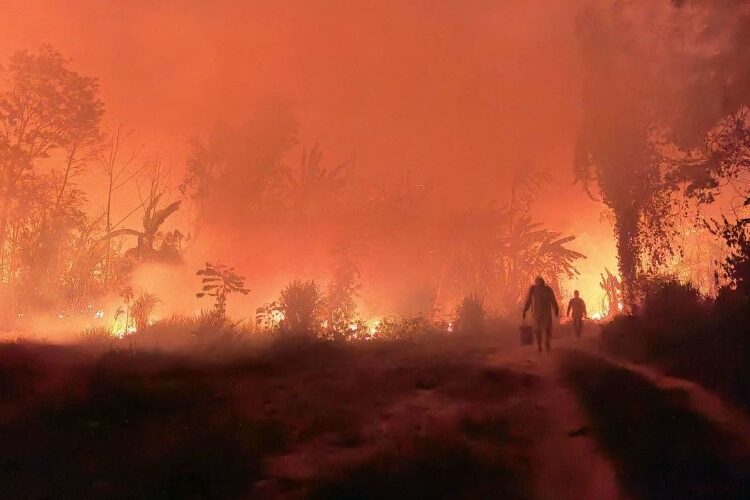 Incendios forestales devastaron 9,8 millones de hectáreas en Bolivia