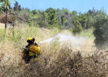 Chile construirá casi 4.000 kilómetros de cortafuegos para prevenir incendios