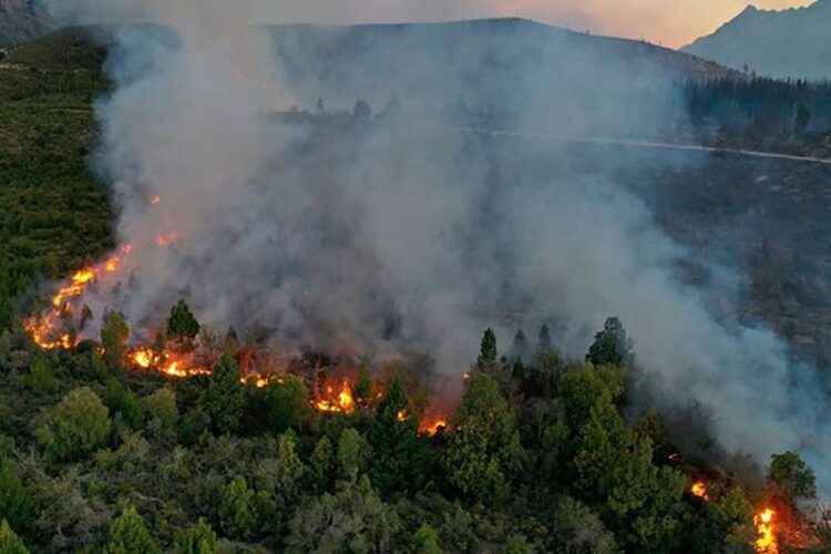 Más de 3.000 hectáreas fueron arrasadas por el fuego en un parque nacional de Argentina