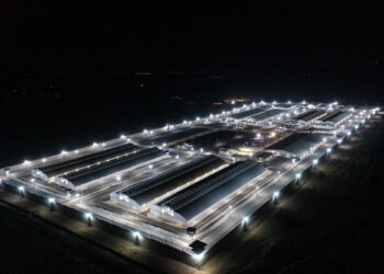 El Salvador ofrece el CECOT a EE. UU. para aceptar criminales convictos a cambio de una tarifa