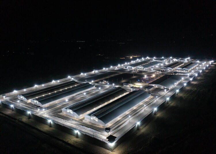 El Salvador ofrece el CECOT a EE. UU. para aceptar criminales convictos a cambio de una tarifa