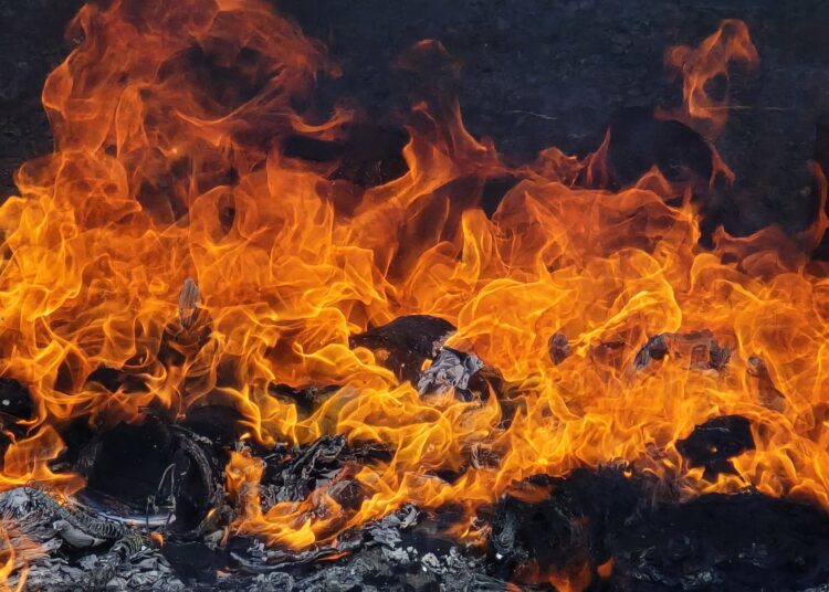 Fiscalía y PNC destruyen droga incautada entre 2015 y 2024 en el oriente del país