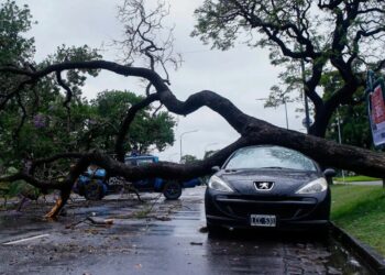 Fuerte temporal causa destrozos en Buenos Aires