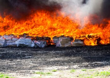 Incineran 1,301 kilos de cocaína valorados en más de $32 millones