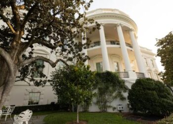 Casa Blanca retirará de su jardín un árbol plantado hace casi 200 años debido a deterioro