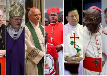 Posibles sucesores tras la muerte del papa Francisco