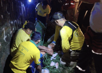 Madre e hijo son embestidos en la carretera Troncal del Norte