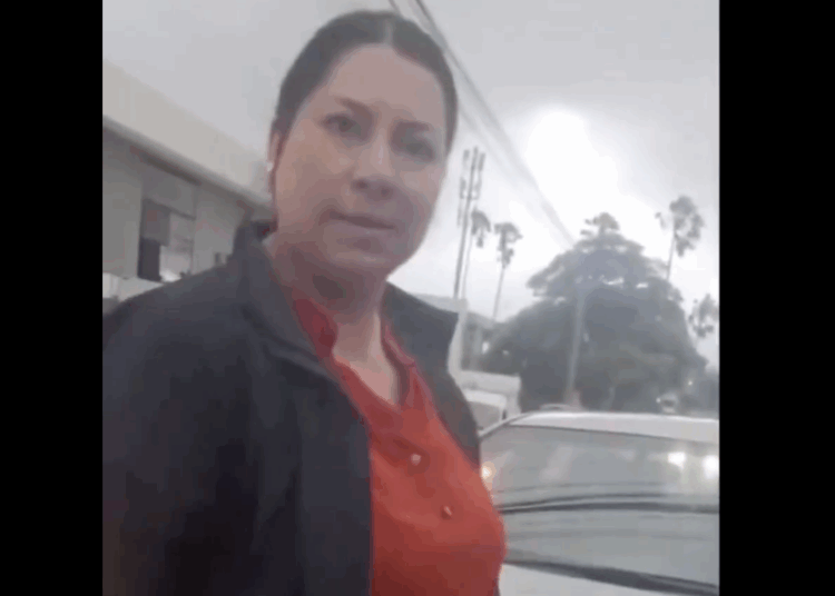 Ministro Alabí destituye a directora médica del SEM tras incidente vial