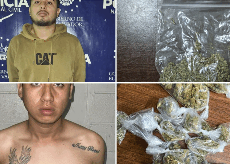 PNC capturó a dos jóvenes por posesión de droga en San Miguel y La Libertad 