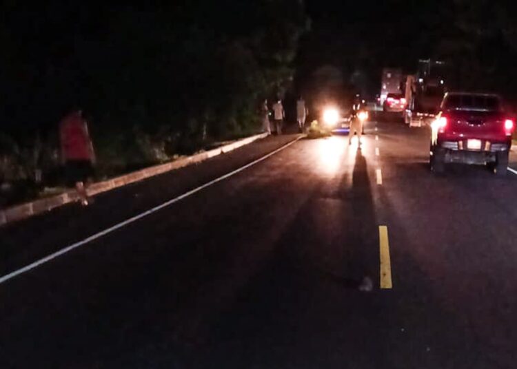 Hombre muere tras lanzarse a vehículo en la carretera Panamericana