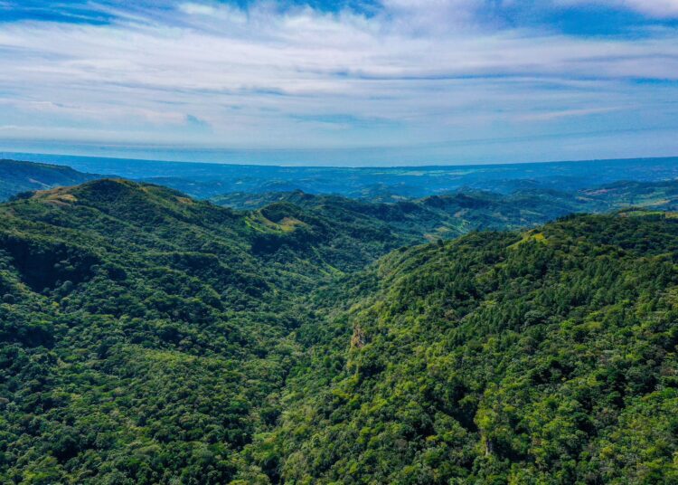 Medio Ambiente prevé lluvias dispersas para este miércoles