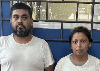 Incautan drogas, dinero y vehículos tras detención de pareja acusada de tráfico 