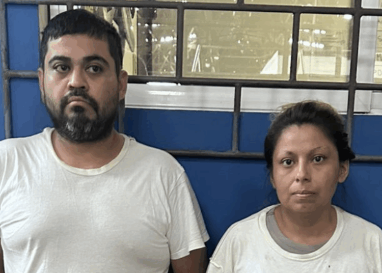 Incautan drogas, dinero y vehículos tras detención de pareja acusada de tráfico