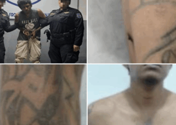 Capturan a alias “Cadáver”, peligroso miembro de la Pandilla 18, en coordinación con México 