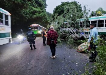 Bus pierde el control y choca contra un árbol en carretera a San Salvador 