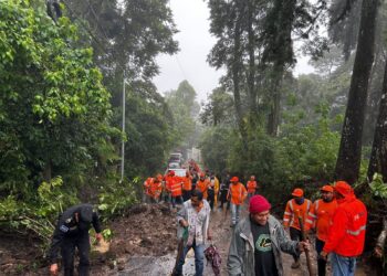FOVIAL reporta 731 emergencias atendidas por lluvias en todo el país 