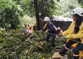 Mujer pierde la vida tras deslizamiento de tierra en Ciudad Delgado 