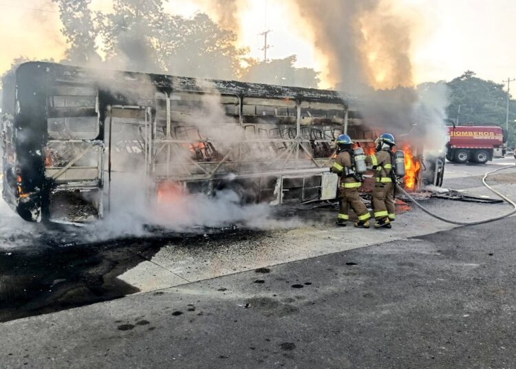 Bus de la Ruta 201 se incendia en la Panamericana; no se reportan lesionados