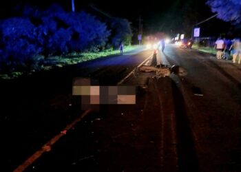  Un motociclista y su acompañante fallecen tras impactar con una vaca en La Unión 