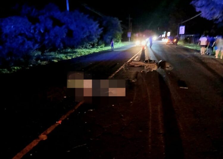  Un motociclista y su acompañante fallecen tras impactar con una vaca en La Unión 