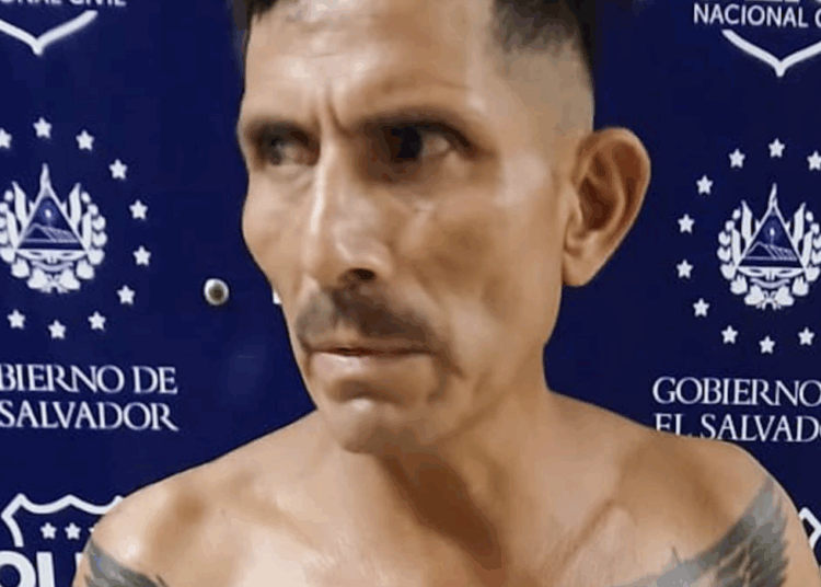 Capturan a peligroso pandillero con largo historial delictivo