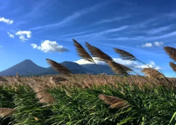 MARN reporta vientos de casi 62 km/h en Sonsonate