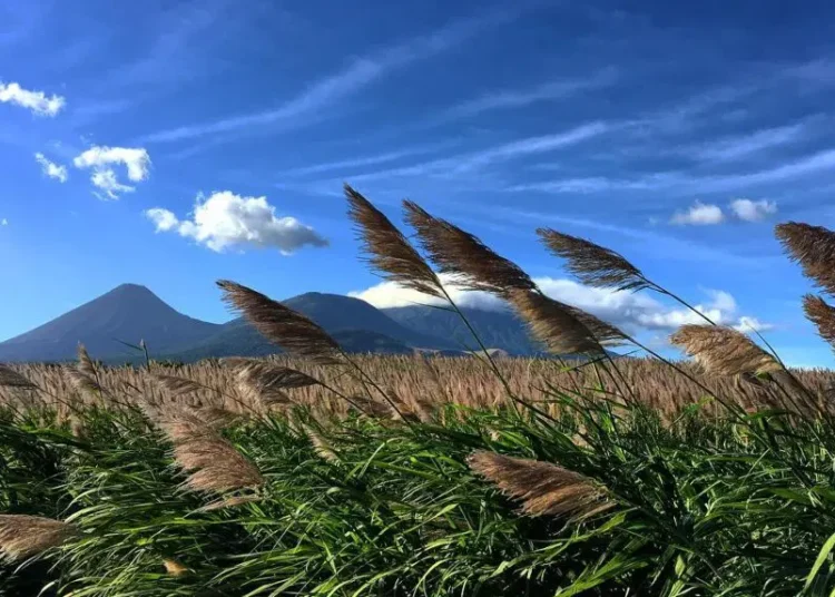 MARN reporta vientos de casi 62 km/h en Sonsonate