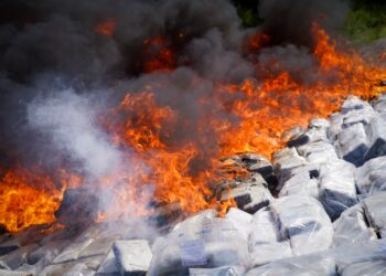 Destruyen 1.7 toneladas de cocaína incautadas en el pacífico, valoradas en más de $45 millones